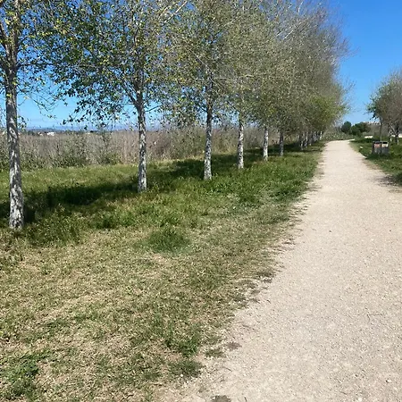 Alquiler Vacacional Peñíscola